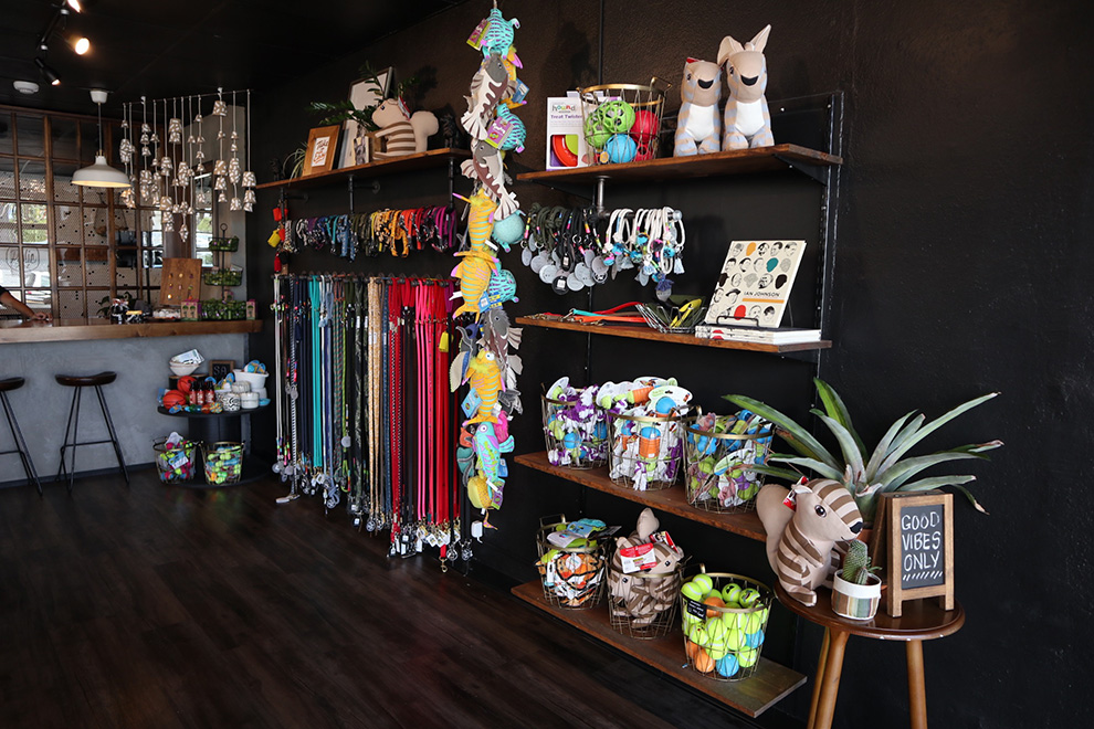 パブリック ペット // The Public Pets OAHU/KAIMUKI ReAloha